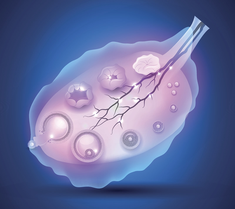 福建三代试管助孕：近年数据分析与个人见解
